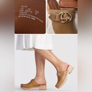 Coach Freya Clog Leather with Gold Buckle women size 6.5B